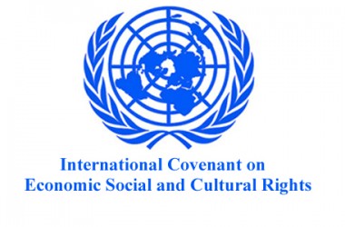 Submission to the Government Report under the International Covenant on Economic, Social and Cultural Rights.
