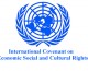 Submission to the Government Report under the International Covenant on Economic, Social and Cultural Rights.